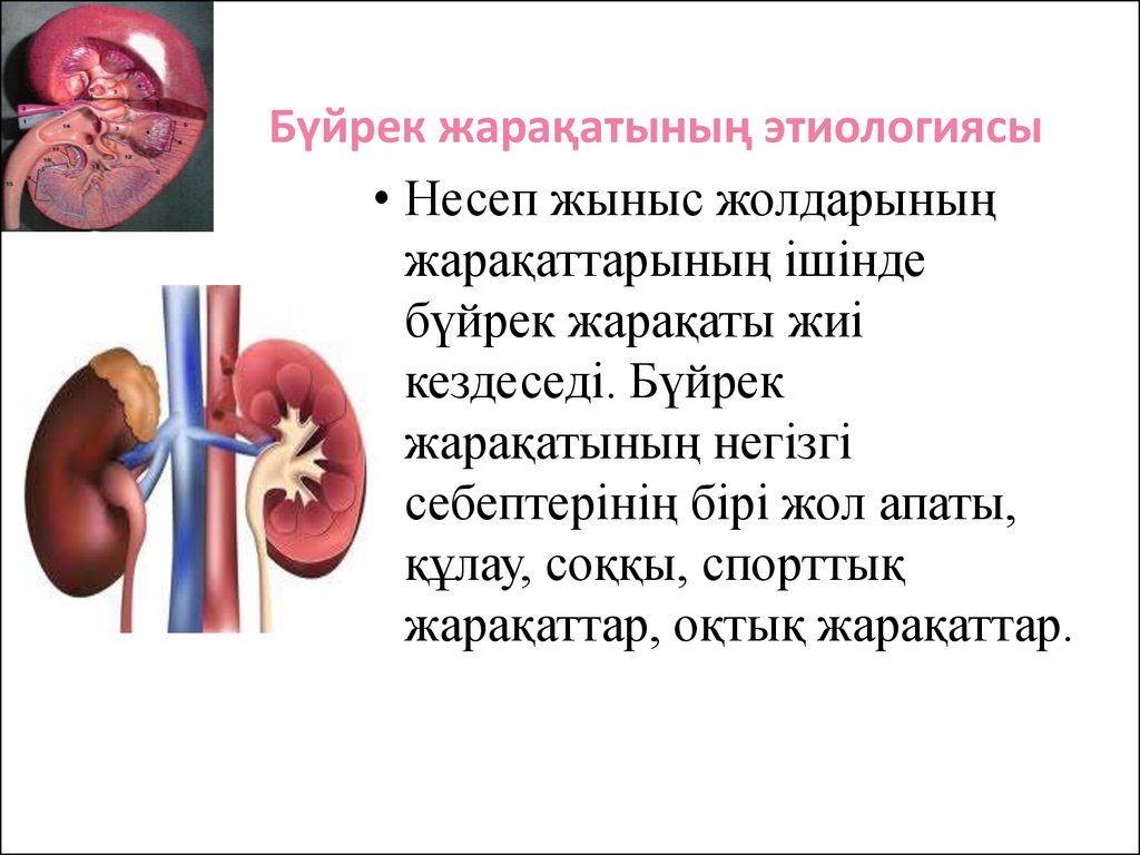 Бүйрек жетіспеушілігі презентация