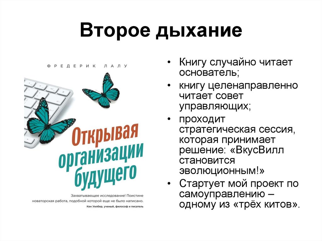 Бирюзовые компании презентация