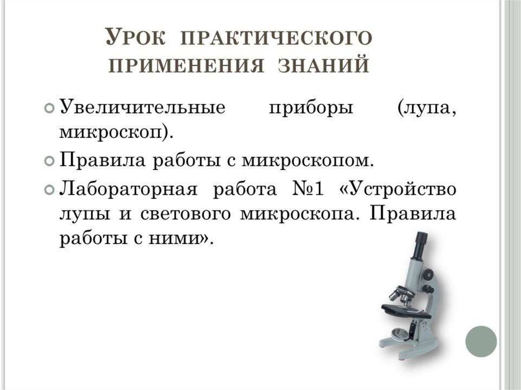 Класс увеличительные приборы. Увеличительные лабораторные приборы. Лабораторная работа 5 класс правила работы с микроскопом. Лабораторная 5 класс биология увеличительные приборы. Лабораторная работа микроскоп.