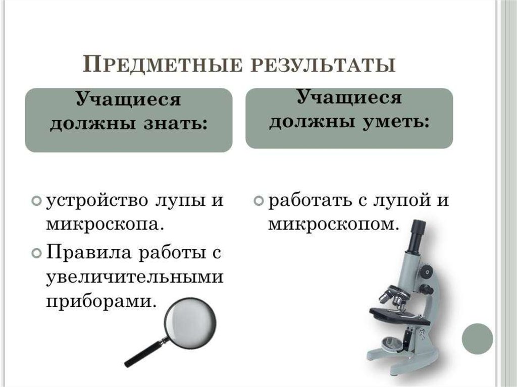 Увеличительные приборы 5 класс биология. Увеличительные приборы 5 класс биология перечень. Таблица увеличительных приборов. Задания по теме увеличительные приборы 5 класс. Лабораторная работа по теме увеличительные приборы микроскоп.