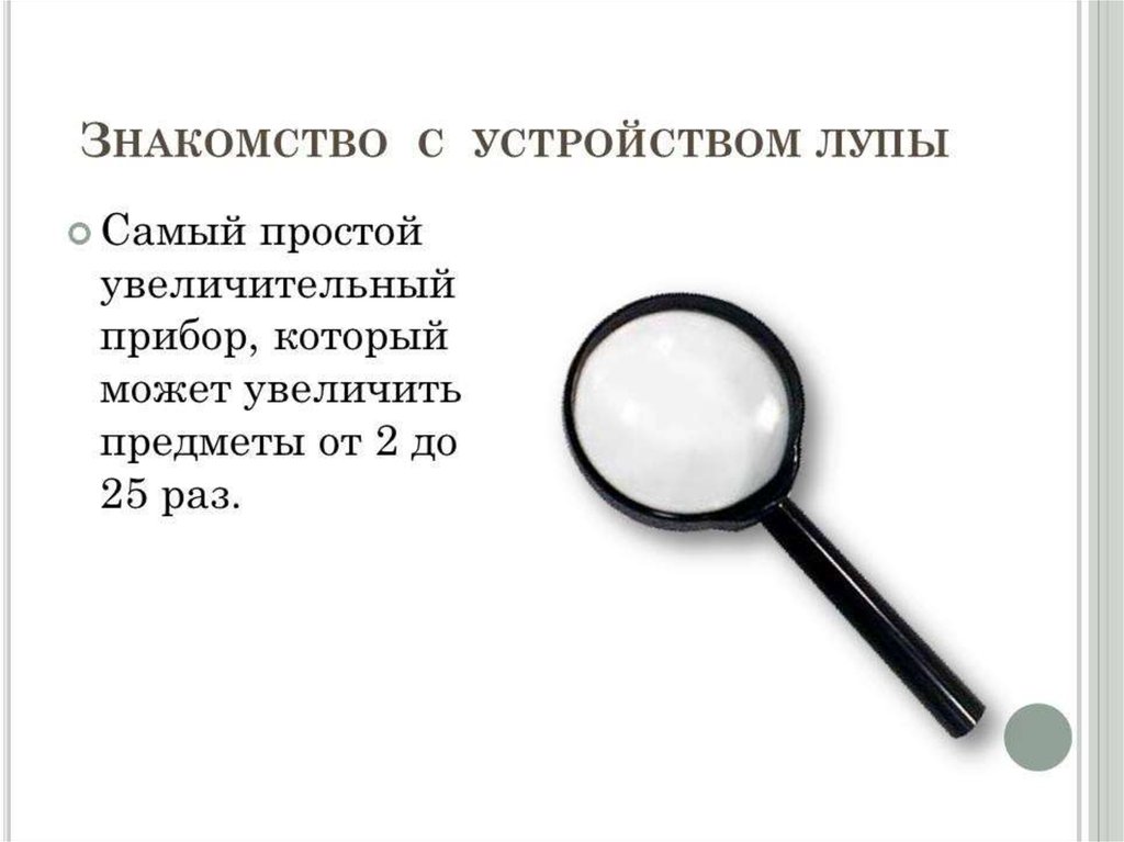 Что представляет собой лупа. Лупа части прибора. Функции ручной лупы. Составные части ручной лупы. Название частей ручной лупы.