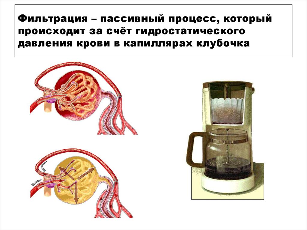 В чем заключается фильтрация информационных потоков трафика межсетевым экраном