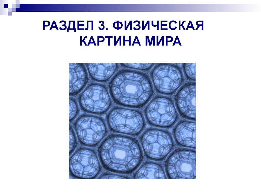 Естественнонаучная картина мира урфу база