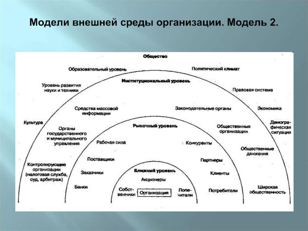 Организация и ее окружение