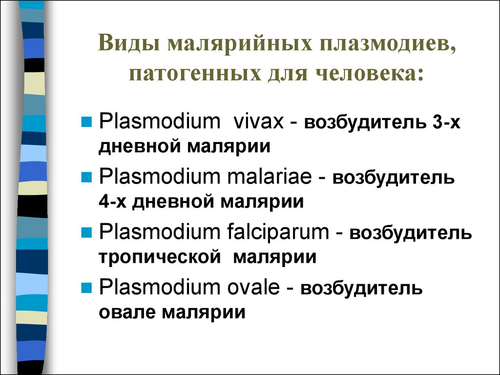 Малярия таблица. Виды малярийного плазмодия паразитирующего у человека. Виды малярийных плазмодиев. Малярийный плазмодий вилы.