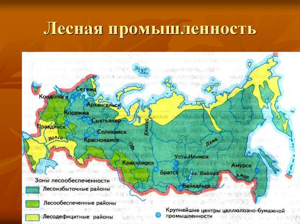 Субъекты с высоким производством древесины. Центры лесного комплекса в России. Центры Лесной промышленности в России на карте. Центры Лесной промышленности в России города. Основные базы Лесной промышленности на карте России.