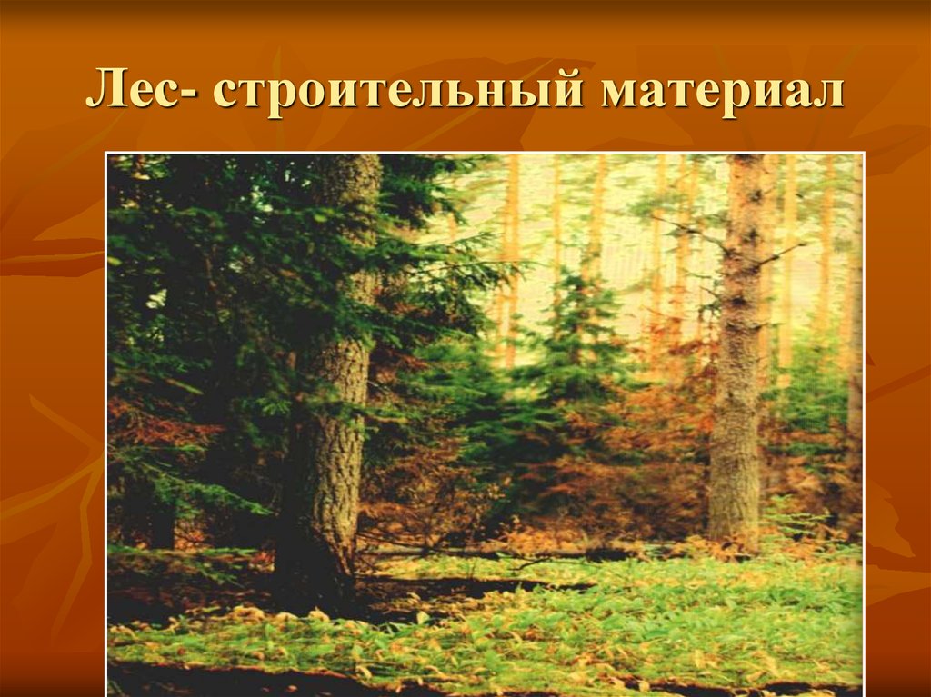 Тема лесной комплекс. Лесной комплекс России. Лес строительный материал. Лесной комплекс климат. Лес материал в России.