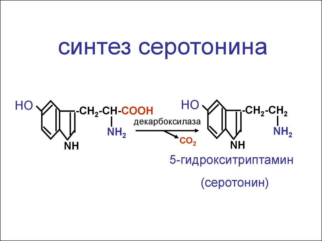 Образование синтез. Синтез серотонина из триптофана. Синтез серотонина из триптофана реакции. Синтез серотонина биохимия. Реакция образования серотонина из триптофана.