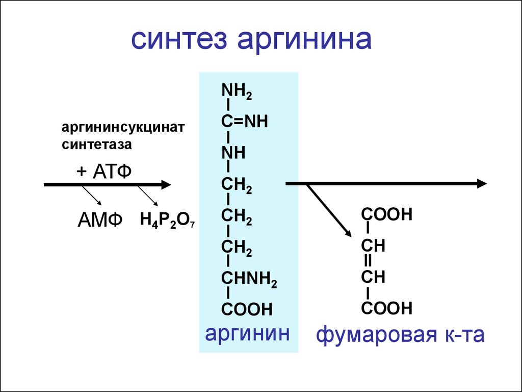 Синтез г. Синтез аргинина из орнитина. Синтез мочевины из аргинина. Аргинин реакция биохимия. Синтез аргинина биохимия.