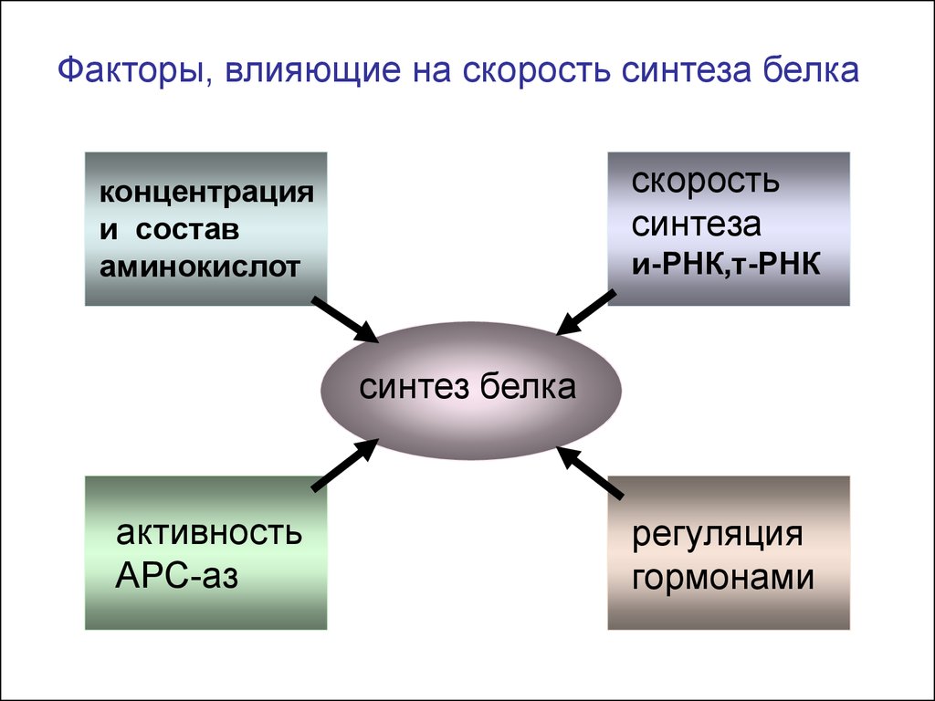 Факторы белков. Факторы синтеза белка. Факторы влияющие на Биосинтез белка. Факторы влияющие на Синтез белка. Воздействующие факторы на белок.