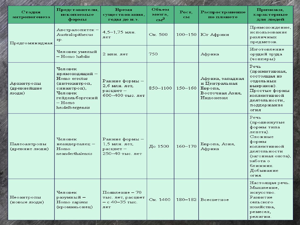 Этапы эволюции человека таблица 9 класс биология. Антропогенез таблица по биологии 11 класс. Этапы антропогенеза таблица. Таблица основные этапы антропогенеза таблица. Таблица основные этапы антропогенеза таблица 11 класс.