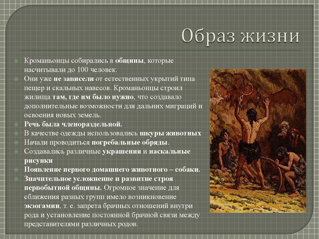 Образ жизни