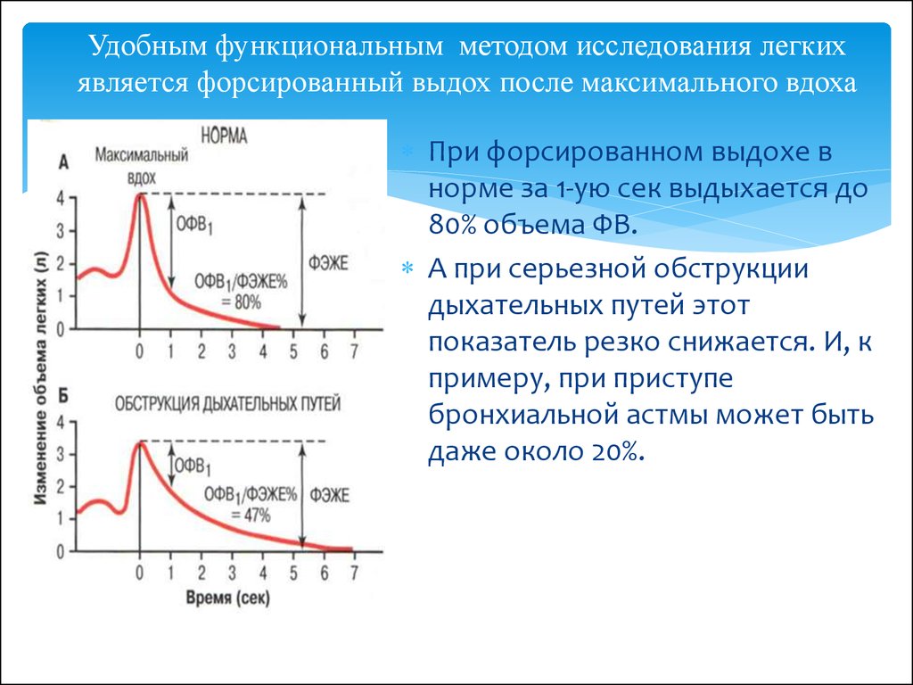 После максимального. Функциональное исследование легких. Функциональные методы исследования легких. Форсированный выдох. Исследование форсированного выдоха.