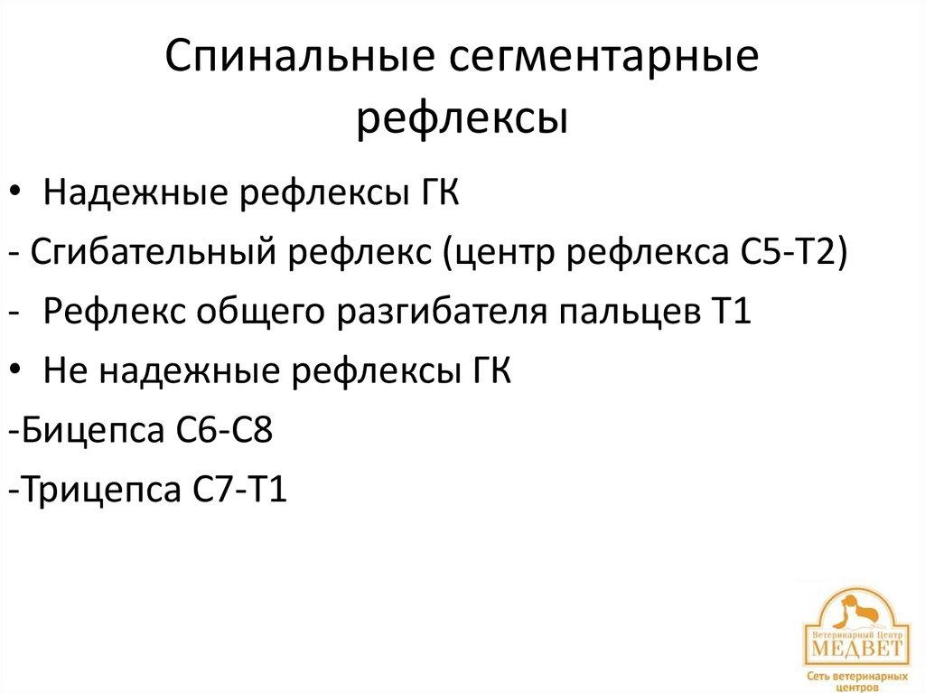 Спинальные сегментарные рефлексы
