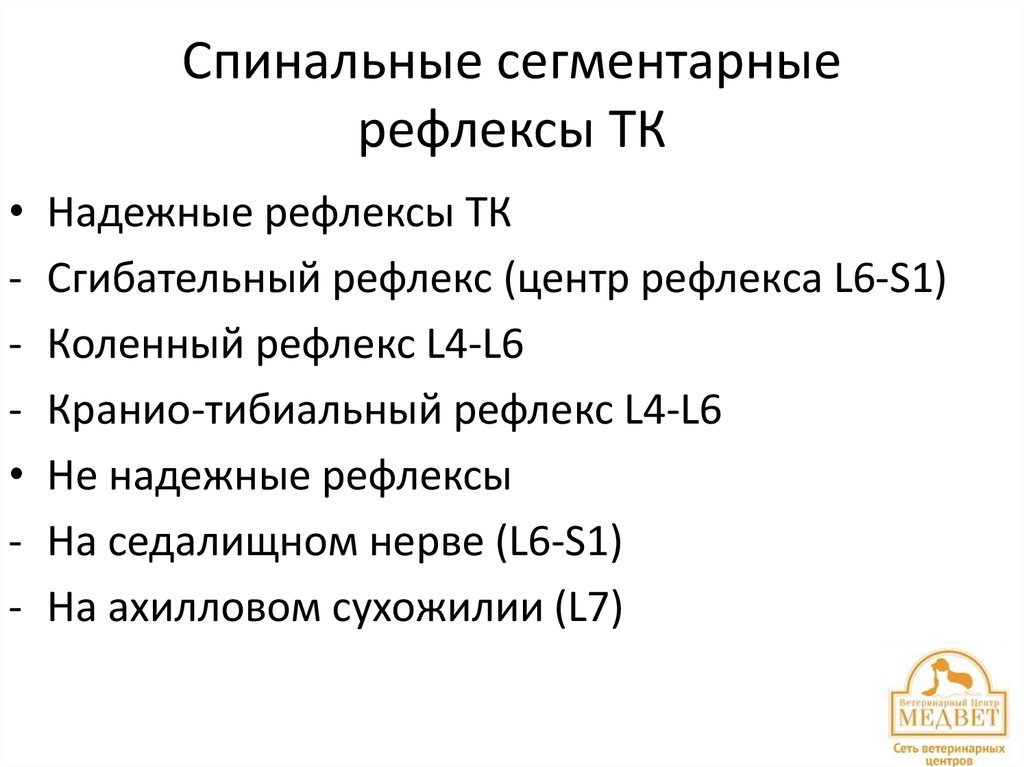 Спинальные сегментарные рефлексы ТК