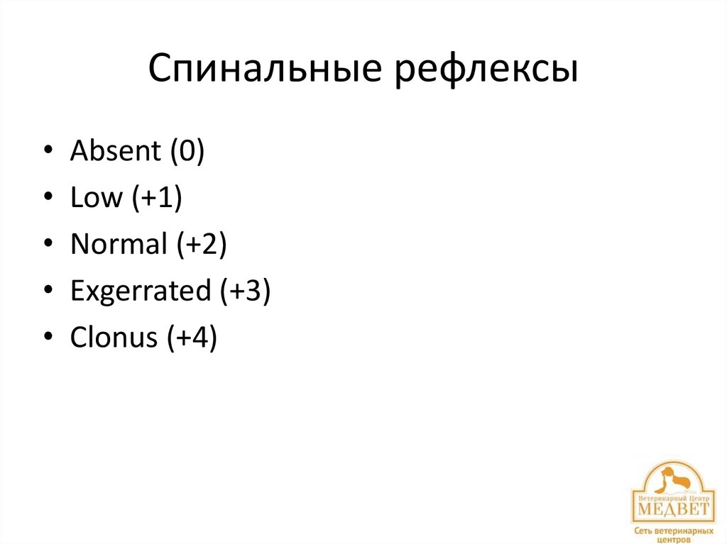 Спинальные рефлексы