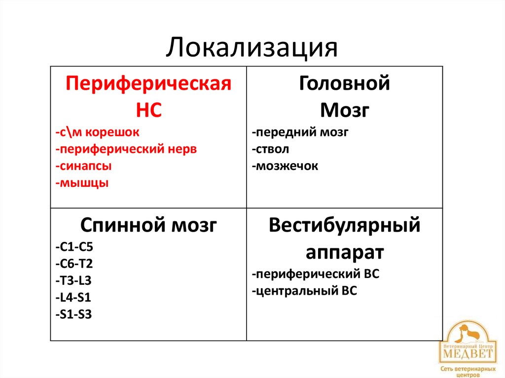 Локализация