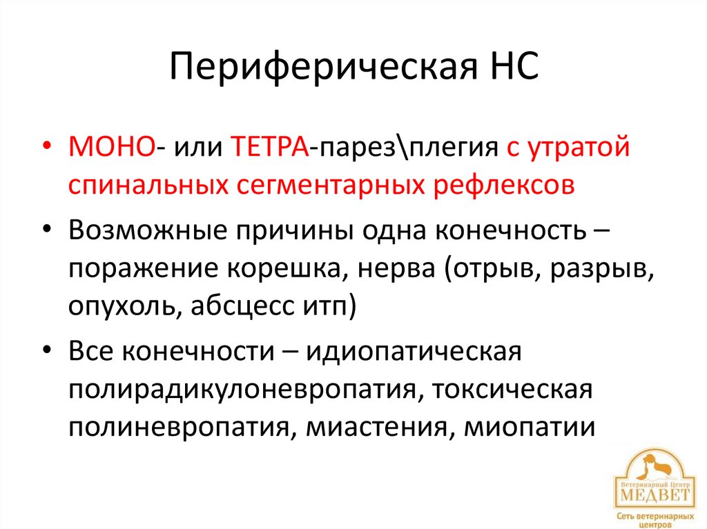 Периферическая НС