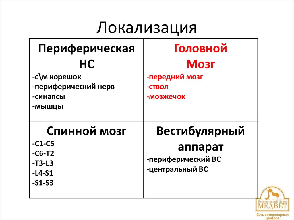 Локализация