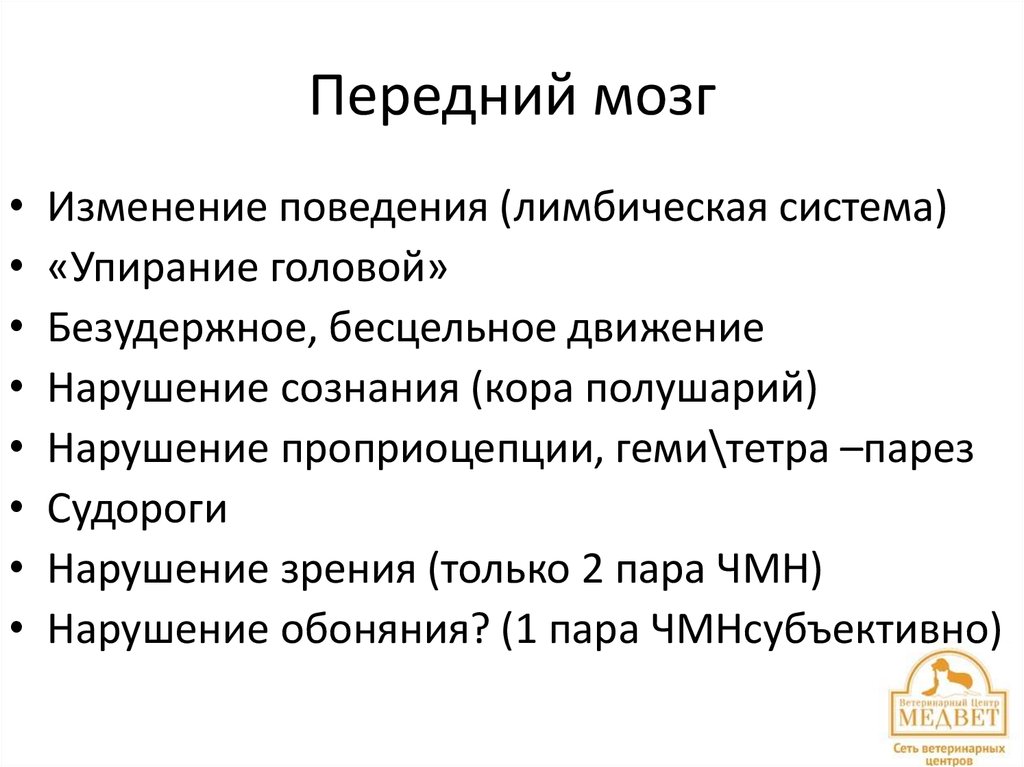 Передний мозг функции. Передний мозг. Роль переднего мозга. Передний мозг кратко.