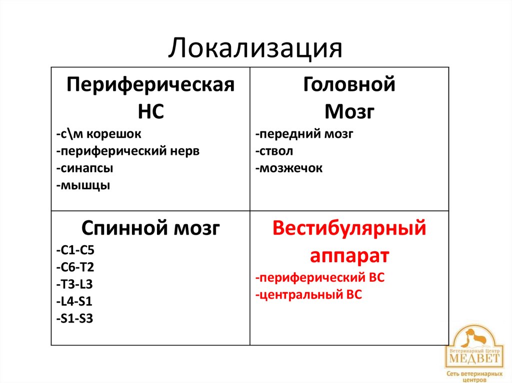 Локализация