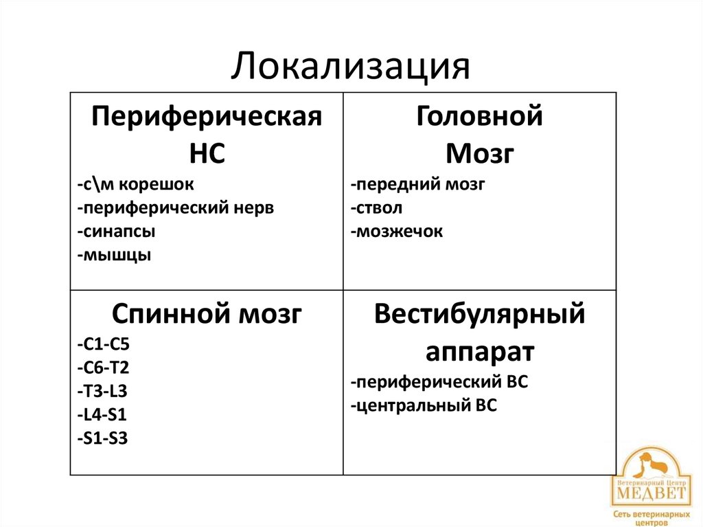Локализация