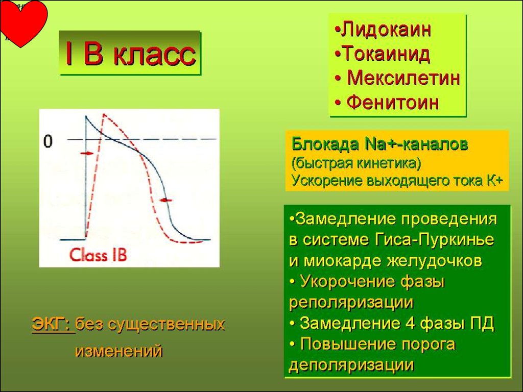 Выходящий ток. Ток класса а. Мексилетин механизм действия. Токаинид. Фенитоин реполяризация.