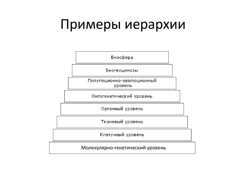 Иерархическая система общества. Иерархия примеры. Иерархическая структура. Примеры социальной иерархии. Иерархичность пример.