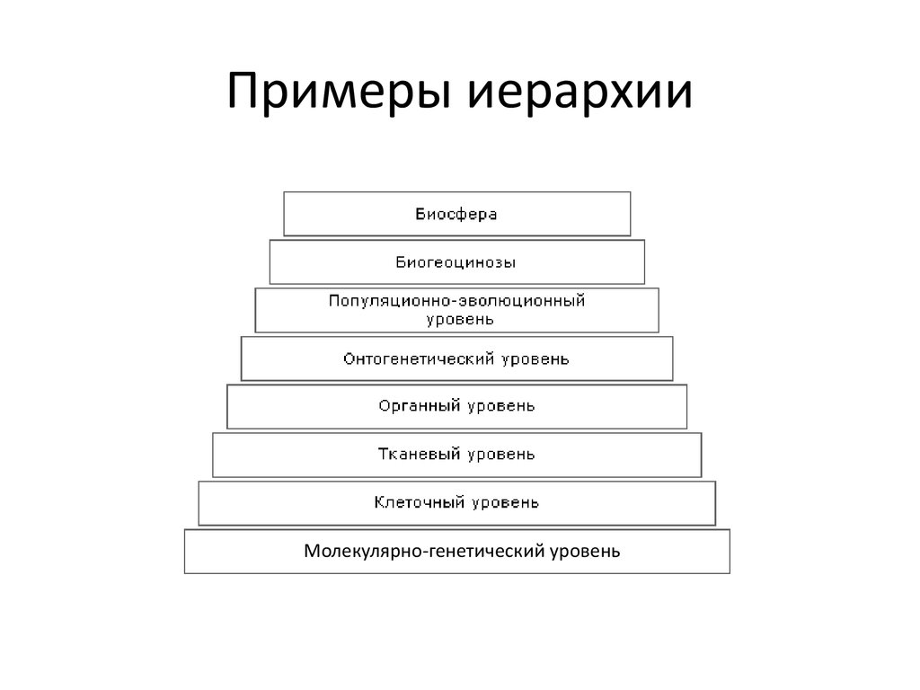 Составьте уровня. Иерархия примеры. Примеры социальной иерархии. Примеры иерархии в биологии. Схему по иерархии;.