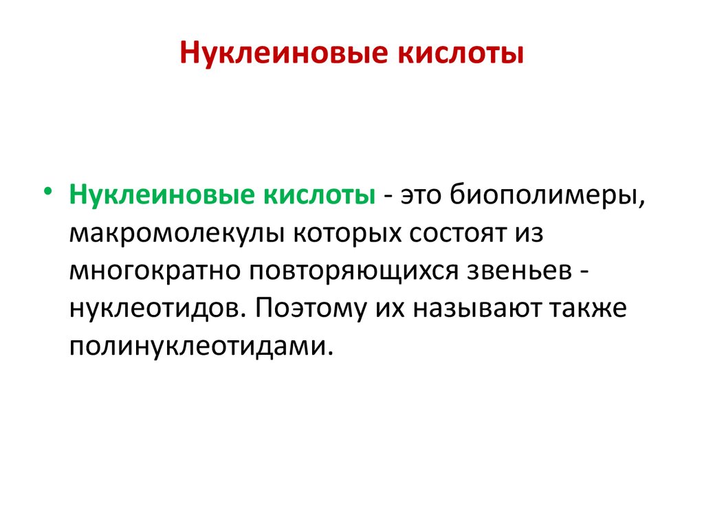 Многократно повторяющийся элемент. Биополимеры нуклеиновые кислоты.