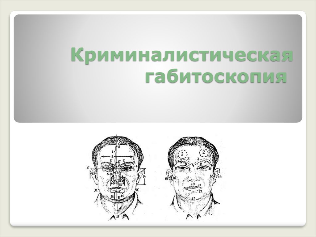 Внешние изображения. Криминалистическая габитоскопия изучает. Криминалистическое габитоскопия криминалистическая. Габитоскопия в криминалистике. Габитология и габитоскопия.