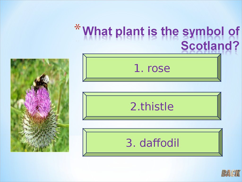 What is the symbol of scotland