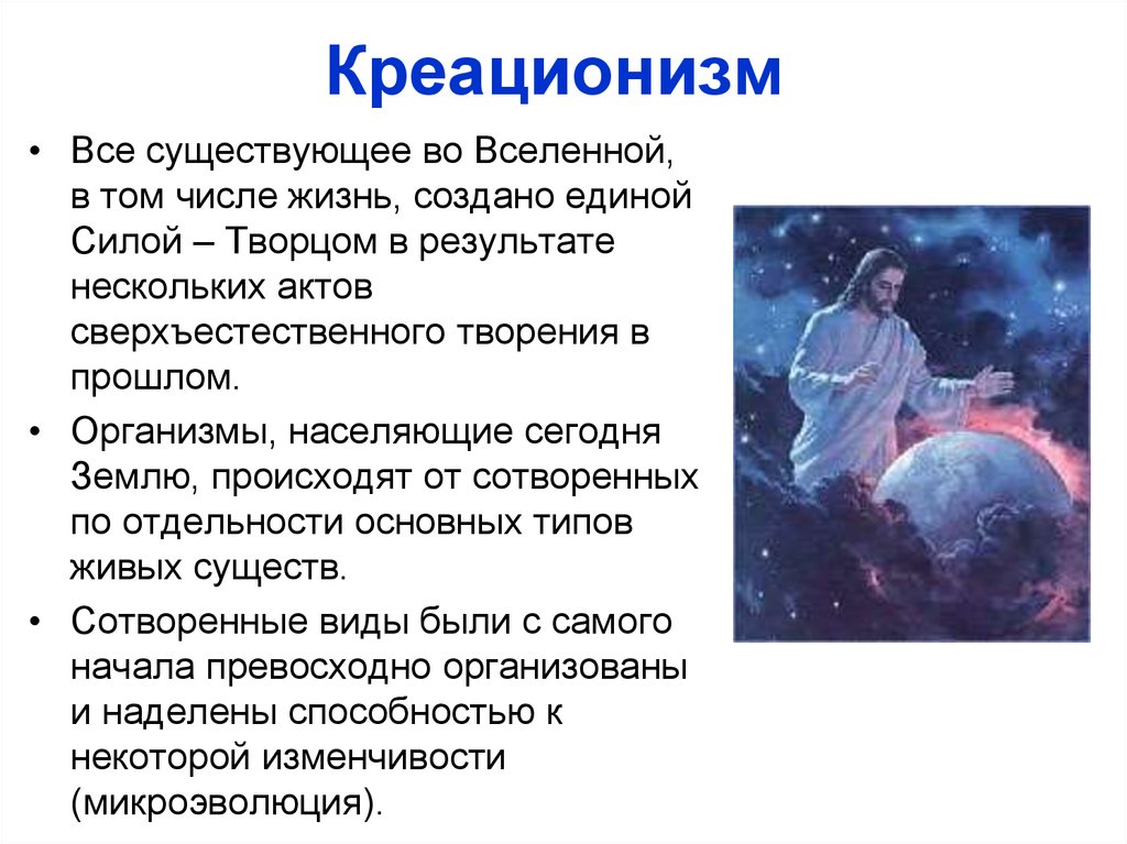 Кто в своих трудах писал о том что человек и животные имеют единый план творения