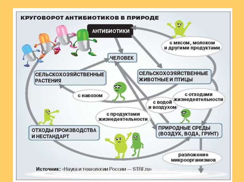 Антибиотики проект по биологии