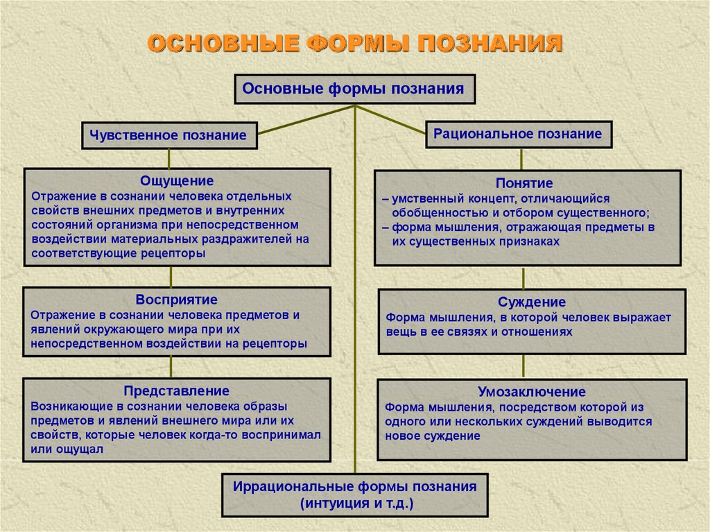 План формы познания