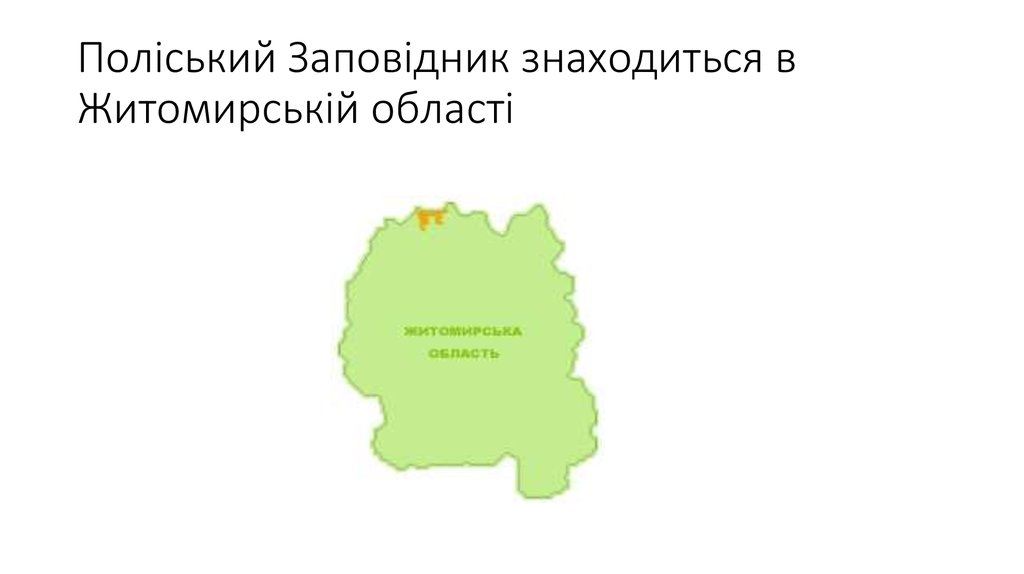 Поліський Заповідник знаходиться в Житомирській області