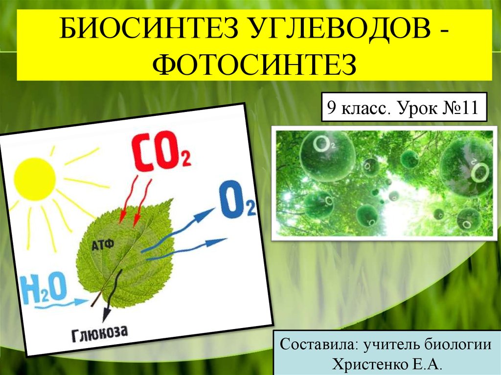 Вопросы по фотосинтезу 6 класс. Фотосинтез Синтез углеводов. Биосинтез углеводов фотосинтез. Фотосинтез схема. Этапы процесса фотосинтеза.