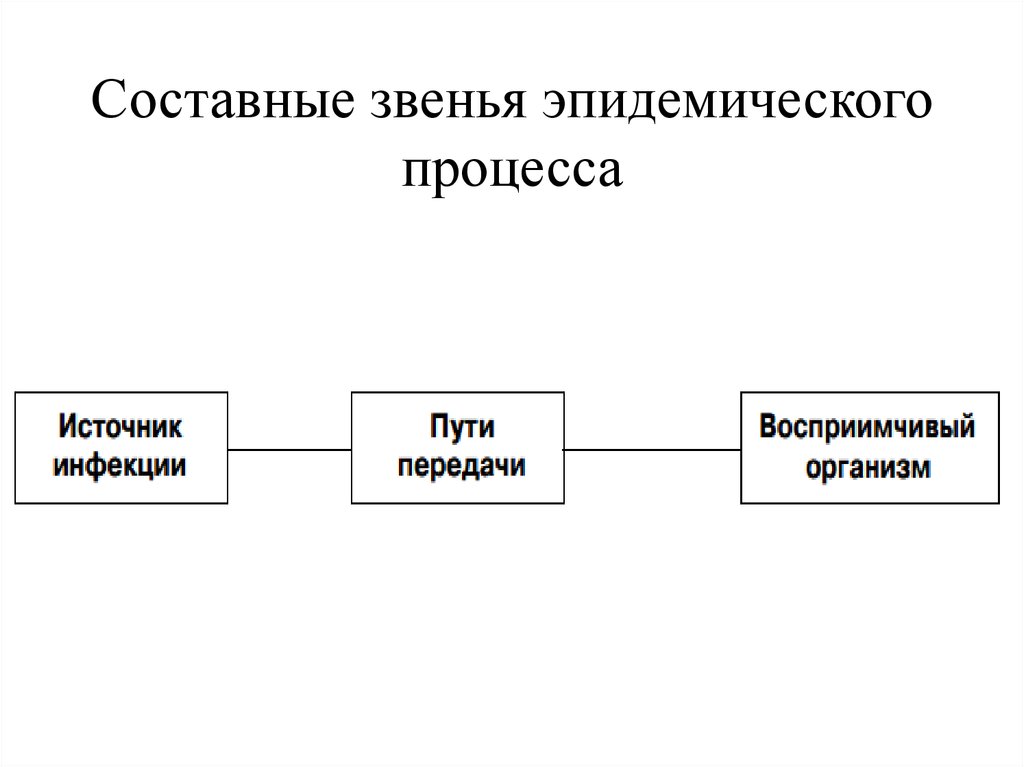 3 звена эпидемического процесса