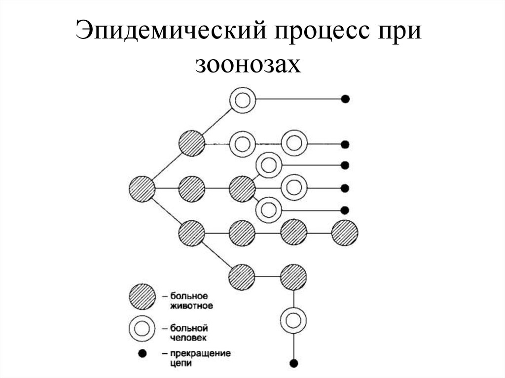 Эпидемический процесс и меры воздействия схема