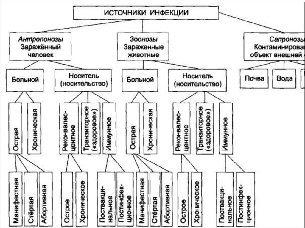 Характеристика источников. Характеристика источников инфекции. Источник заразного материала схема больной. Источник инфекции классификация. Характеристика источников возбудителей инфекции.