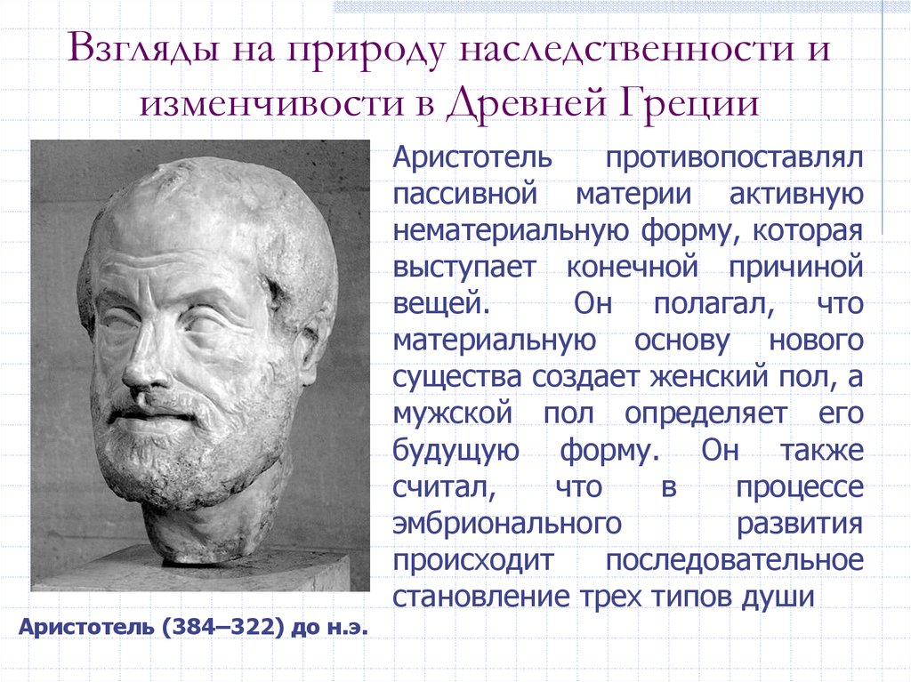 Аристотель взгляд на природу. Разные взгляды греческих ученых на природу человека. Взгляды Аристотеля на человечество. Природа наследственности.