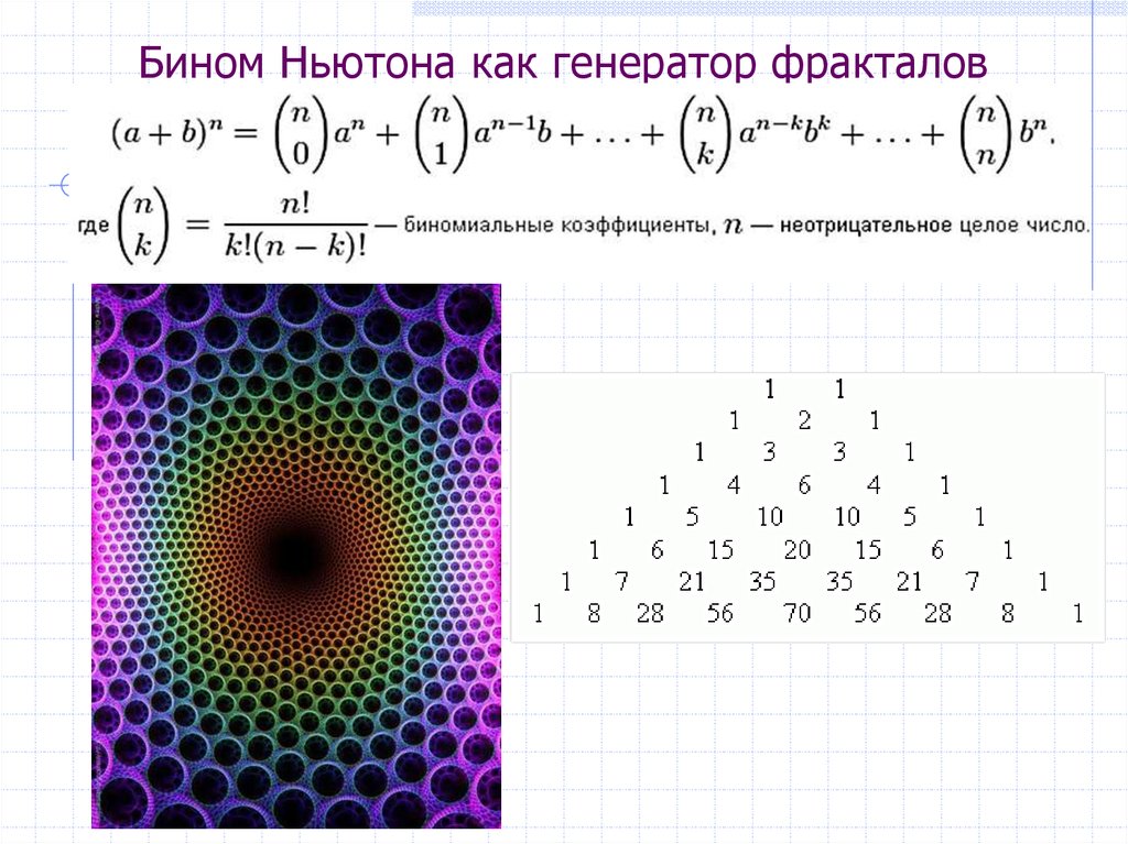 Бином ньютона картинки