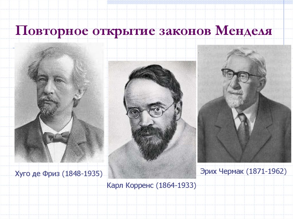 Открытие законов. Эрих Чермак-Зейзенегг. Карл Эрих Корренс генетика. Эрих Чермак генетика. Эрих Чермак-Зейзенегг генетика.