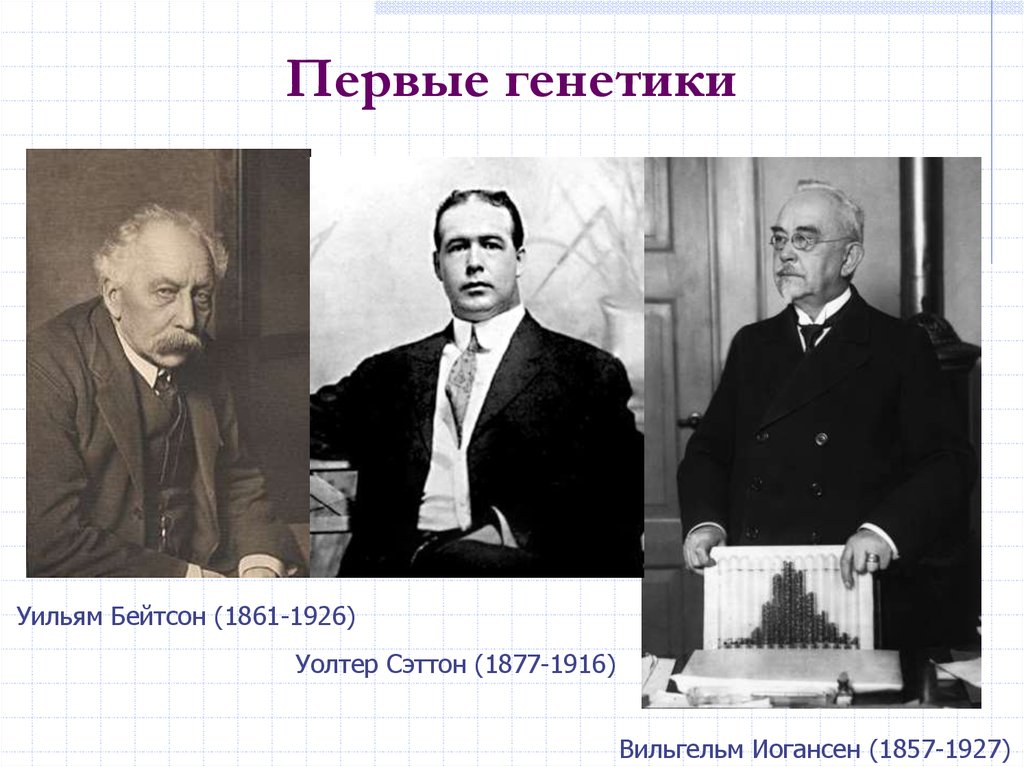 История становления генетики как науки презентация. Уильям Сэттон генетика. Уильям Бейтсон генетика. История изучения генетики. Первые ученые генетики.