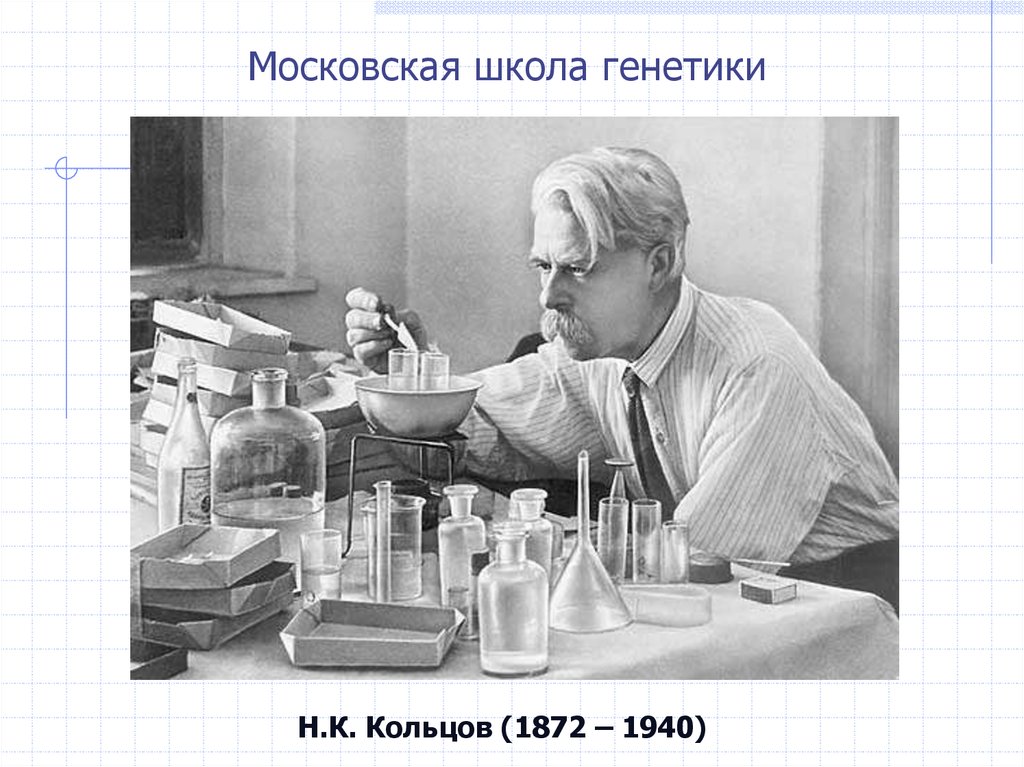 Школа генетики. Кольцов н.к. (1872-1940).
