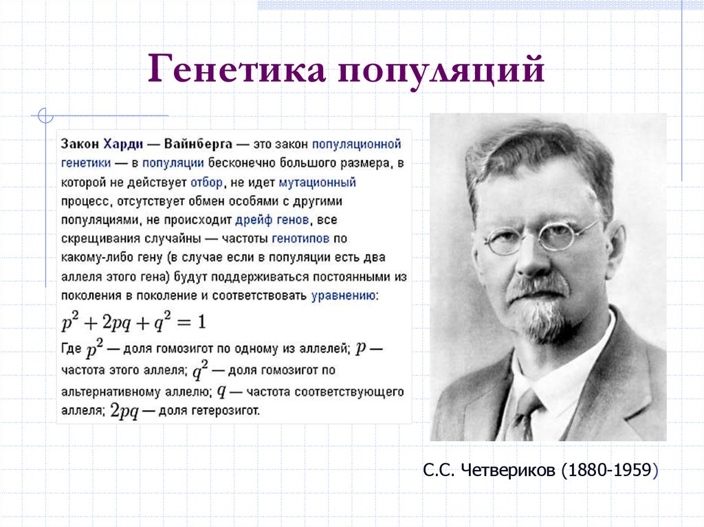 Генетика популяций презентация