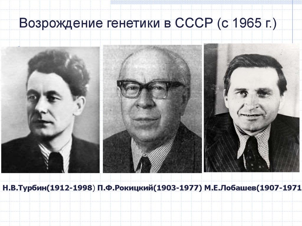 Советские ученые против. Советские генетики. Генетик СССР. Разгром генетики в СССР.