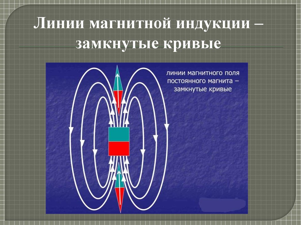 Что называют магнитной линией магнитного поля. Линии магнитной индукции. Силовые линии магнитного поля замкнутые. Замкнутые линии магнитной индукции. Магнитное поле линии замкнута.