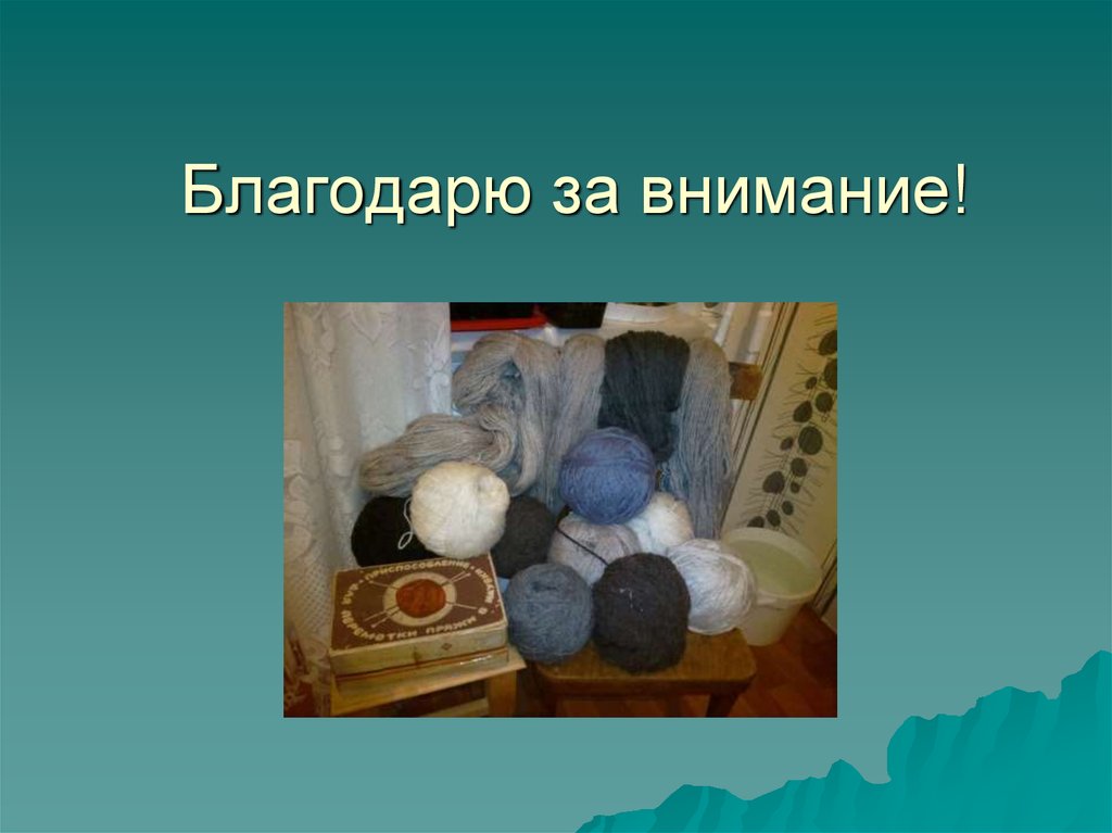 Благодарю за внимание!