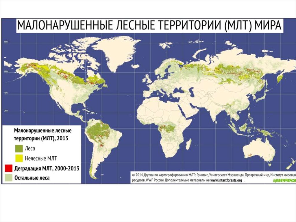 Карта вырубки лесов россии